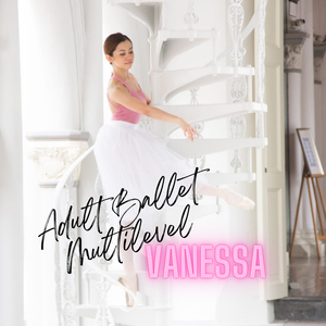 Adult Ballet Multilevel: Holiday Edition (Vanessa - 90min)